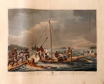 Item #51-2151 [Natives] Killing Game [tiger and hog] in Boats [at the indundation of an Island]. Plate 36 from the Second Elephant Folio edition of ORIENTAL FIELD SPORTS : being a complete, detailed, and accurate description of the WILD SPORTS OF THE EAST. Samuel Howett, Thomas Williamson, Artist -, Author -.