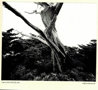 Item #51-2163 Point Lobos. Robinson Jeffers, Wolf Von Dem Bussche, photographer