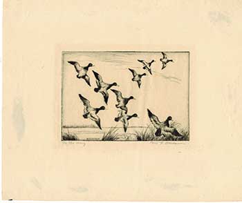 Berdanier, Paul F. (1879-1961) - On the Wing [Ducks in Flight]