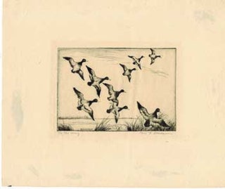 Item #51-2238 On the Wing [Ducks in flight]. Paul F. Berdanier