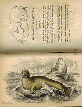 Item #51-2681 The Naturalist's Library. Vol. XXV. Mammalia..Amphibious Carnivora. Original...