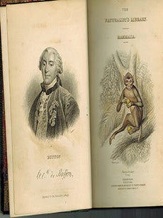 Item #51-2683 The Naturalist's Library. Vol. XXVII. Mammalia..Monkeys. ... Original Edition....