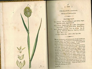 Item #51-3120 English Botany; or, Coloured Figures of British Plants,. Volume II (First Edition...