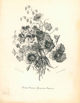 Item #51-3387 A Collection of 4 plates including, Dahlia, Corépsis, Gloximia, and Petunia. J. Thiéry.