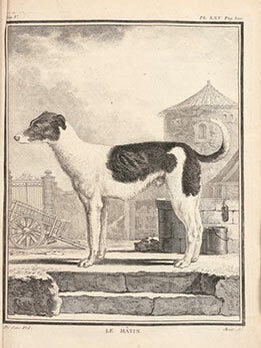 Item #51-3441 Histoire naturelle, générale et particulière avec la description du cabinet du...