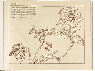 Item #51-3468 Flora. First edition. Ann McGarrell, Jack Beal, artist