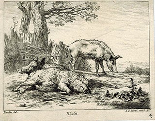 Item #51-3690 Standing and lying Pigs. First edition. Karel Dujardin, Johann Georg Hertel, 1621 -...