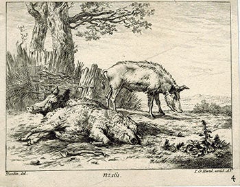 Item #51-3690 Standing and lying Pigs. First edition. Karel Dujardin, Johann Georg Hertel, 1621 - 1678, 1700–1775 engraver.