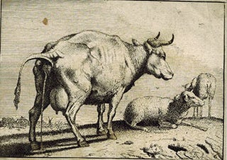 Item #51-3691 The Pissing Cow. First edition. Paulus After Potter