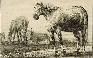 Item #51-3692 Two Horses and two cows. First edition. Paulus In the Style of Potter