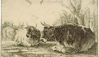 Item #51-3693 Reclining Cows. First edition. Paulus In the Style of Potter