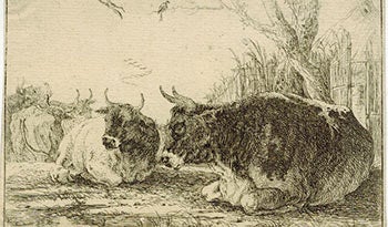 Item #51-3693 Reclining Cows. First edition. Paulus In the Style of Potter.