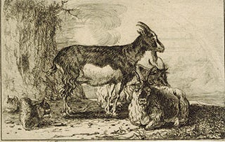 Item #51-3694 Three Goats and Two Squirrels. First edition. Paulus In the Style of Potter