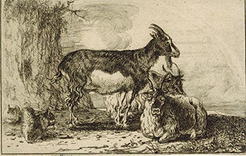 Item #51-3694 Three Goats and Two Squirrels. First edition. Paulus In the Style of Potter.