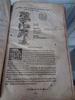 Botanicon, continens herbarum, aliorumque simplicium, quorum usus in medicinis est, descriptiones, et iconas ad vivum effigiatas : ex praecipuis tam Graecis quam Latinis authoribus iam recens concinnatum ; additis etiam, quae neotericorum observationes et experientiae vel comprobarunt denuo, vel nuper invenerunt. First edtion.