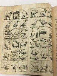 Histoire de la grande isle Madagascar, composée. Par le sieur de Flacourt, directeur general de la Compagnie Françoise de l'Orient, & Commandant pour sa majesté dans ladite isle & és isles adjacentes. Avec une relation de ce qui s'est passé és années 1655. 1656. & 1657. non encor veuë par la première impression. First editoin.