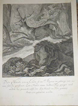 Item #51-4040 Diser Hirsch von 19 Enden ist im Algeuw. im gebürge von einem sich los gerissenen Leit-Hunde einen halben Tag gejaget und endlich bey geremisch nebst dem Leit-Hunde zu Tode gestürzt, Anno 1701, gefunden worden. First edition of the engraving. Johann Elias Ridinger.