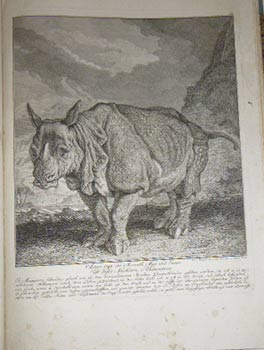 Item #51-4049 Anno 1748 im Monath May und Junio ist dises Nashorn Rhinoceros.... In Augspurg lebendig gleich wie in den vornehmsten Staedten Deutschlandes gesehen worden. First edition of the engraving. Johann Elias Ridinger.