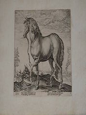 Item #51-4087 Calaber from Equile, seu speculum equorum, in quo omnis generis generosissimorum...