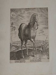 Item #51-4092 Sicamber from Equile, seu speculum equorum, in quo omnis generis generosissimorum...