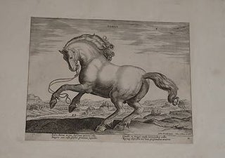 Item #51-4093 Danus from Equile, seu speculum equorum, in quo omnis generis generosissimorum...
