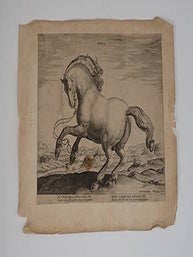 Item #51-4094 Danus from Equile, seu speculum equorum, in quo omnis generis generosissimorum...
