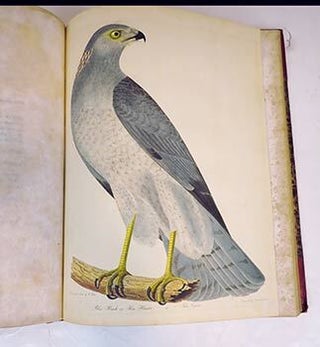 Item #51-4266 American Ornithology; or, the Natural History of Birds inhabiting the United...