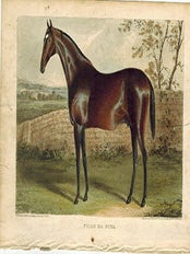 Item #51-4835 Filho da Puta. First edition of the aquatint. John Frederick Herring, Thomas...