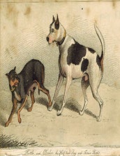 Item #51-4838 Rattle and Clinker, the half bred dog and terrier bitch. First edition of the aquatint. S. Alkin, artist, engraver Percy Roberts.