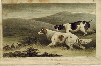 Alkin, S., artist - Grouse Shooting [with Dogs]. First Edition of the Aquatint