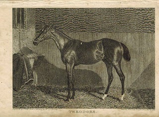 Item #51-4849 Theodore [horse in stable]. First edition of the aquatint. John Frederick Herring,...