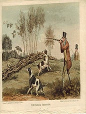 Item #51-4854 Partridge Shooting. First edition of the aquatint. S. Alkin, artist, Thomas Sutherland