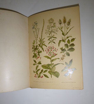 Item #51-4942 Nos Fleurs: plantes utiles et nuisibles. First edition. Mathieu Leclerc du Sablon,...