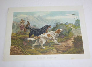 Item #51-4962 Grouse Shooting. . . . Later Printing of the Color engraving. Basil Bradley,...