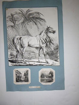 Item #51-5039 Standing horse with long mane in front of a Palm grove. First edition of the...