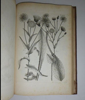Flora Pedemontana sive Enumeratio methodica stirpium indigenarum Pedemontii auctore Carolo Allionio,... Tomus primus [-tertius]. 3 vols. First edition.
