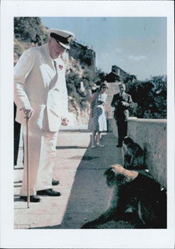 BNPS Press Agency - Sir Winston Churchill in Gibraltar Viewing Dogs on an Embankment. Original Color Photograph
