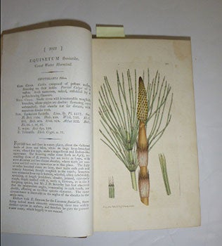 English Botany; or, Coloured Figures of British Plants, with their essential characters, synonyms, and places of growth. To which will be added, occasional remarks. Volumes XXIX and XXX. First Editions.