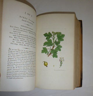 English Botany; or, Coloured Figures of British Plants, with their essential characters, synonyms, and places of growth. To which will be added, occasional remarks. Volumes XXIX and XXX. First Editions.