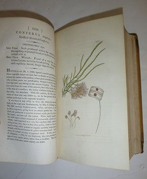 English Botany; or, coloured figures of British plants, with their essential characters, synonyms, and places of growth. To which will be added, occasional remarks. Volumes XXXV and XXXVI. First Editions.