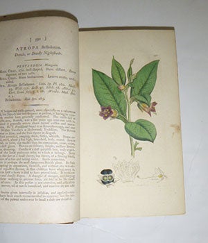 English Botany; or, coloured figures of British plants, with their essential characters, synonyms, and places of growth. To which will be added, occasional remarks. Volumes IX and X. First Editions.