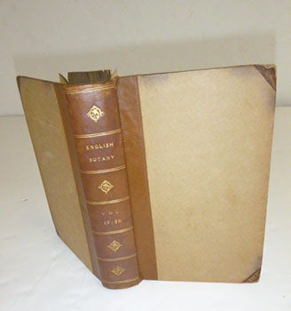 Item #51-5336 English Botany; or, coloured figures of British plants, with their essential characters, synonyms, and places of growth. To which will be added, occasional remarks. Volumes XIX and XX. First Editions. F. L. S. James Sowerby, Sir James Edward Smith, text -.