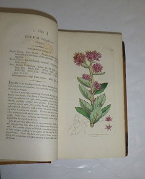 English Botany; or, coloured figures of British plants, with their essential characters, synonyms, and places of growth. To which will be added, occasional remarks. Volumes XIX and XX. First Editions.
