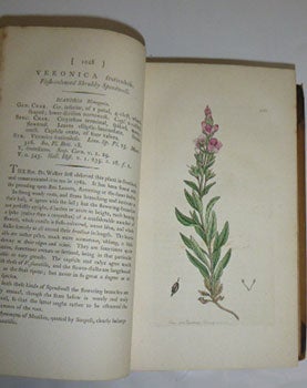 English Botany; or, coloured figures of British plants, with their essential characters, synonyms, and places of growth. To which will be added, occasional remarks. Volumes XV and XVI. First Editions.