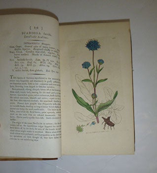 English Botany; or, coloured figures of British plants, with their essential characters, synonyms, and places of growth. To which will be added, occasional remarks. Volumes XIII and XIV. First Editions.