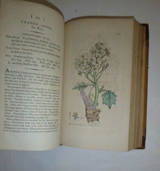 English Botany; or, coloured figures of British plants, with their essential characters, synonyms, and places of growth. To which will be added, occasional remarks. Volumes XIII and XIV. First Editions.