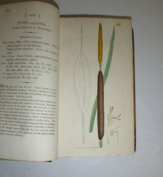 English Botany; or, coloured figures of British plants, with their essential characters, synonyms, and places of growth. To which will be added, occasional remarks. Volumes XXI and XXII. First Editions.