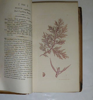 English Botany; or, coloured figures of British plants, with their essential characters, synonyms, and places of growth. To which will be added, occasional remarks. Volumes XXXI and XXXII. First Editions.