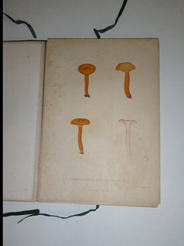 Sveriges &auml;tliga och giftiga svampar tecknade efter naturen under ledning af E. Fries utgifna af Kongl. Vetenskaps-Akademien. [Collectioin of plates of Swedish mushrooms]. First edition.