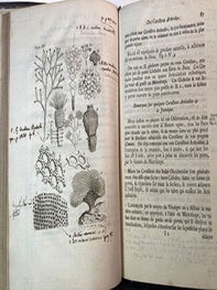 Essai sur l'Histoire naturelle des Corallines, et d'autres Productions marines de même Genre, qu'on trouve communement sur les Côtes de la Grande-Bretagne et d'Irlande; auquel on a joint une Description d'un Grande Polype de Mer, pris auprès du Pole Arctique, par des Pêcheurs de Baleine, pendant l'Été de 1753. First edition with manuscript annotations..
